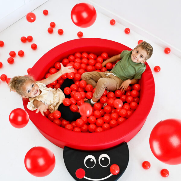 #60753 LadyBug Climber