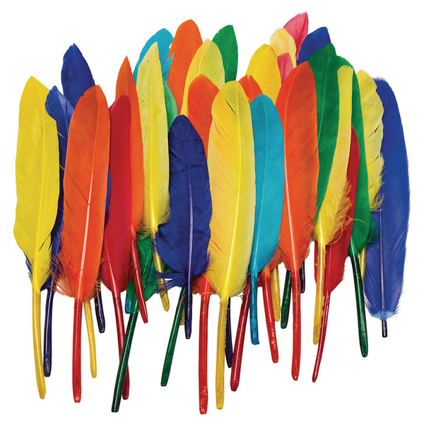 Arts & Crafts.Feathers