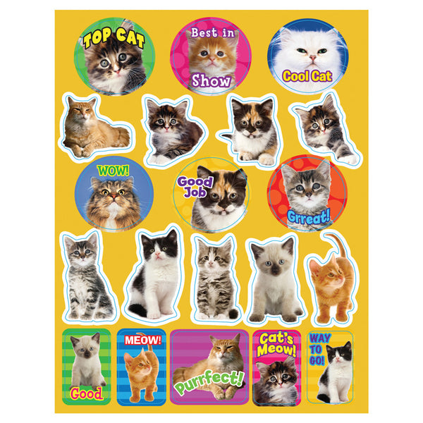 #17737 MOTIVATIONAL CATS THEME STICKERS