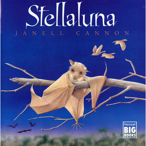 #21115 STELLALUNA BIG BOOK