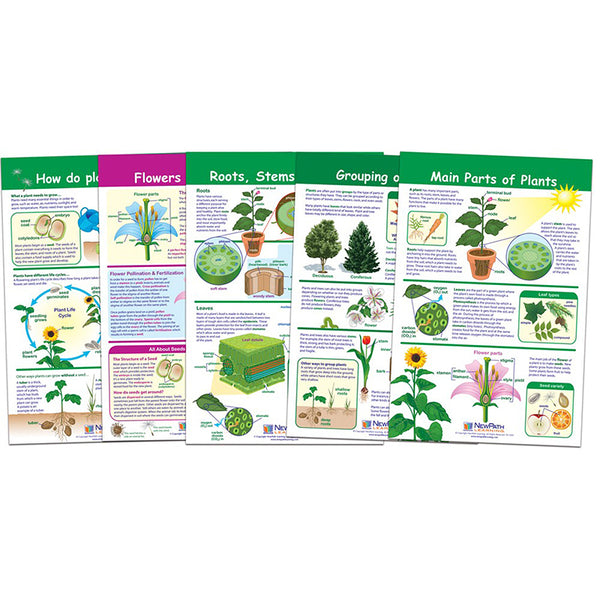 Bulletin Board Sets.Science