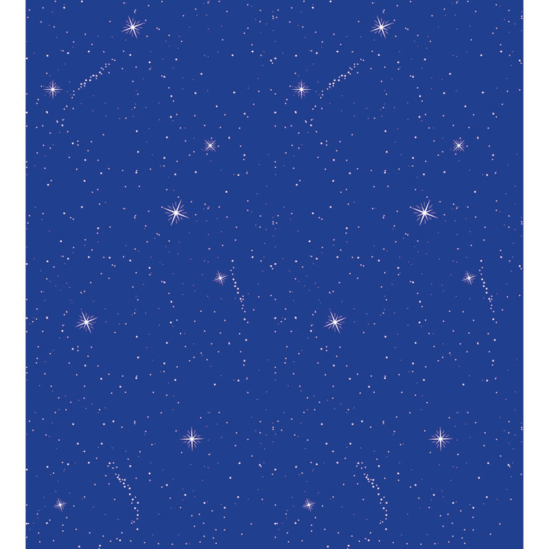 #28361 FADELESS 48X12 NIGHT SKY SOLD 4RLS PER CARTON