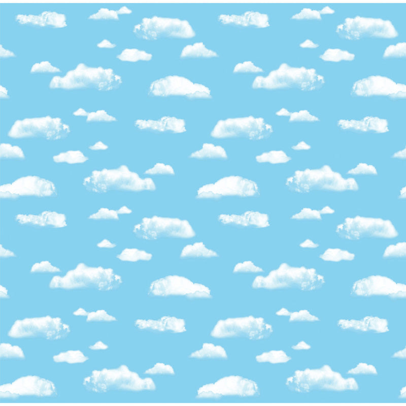 #28377 FADELESS 48 X 50 ROLL CLOUD BOXED