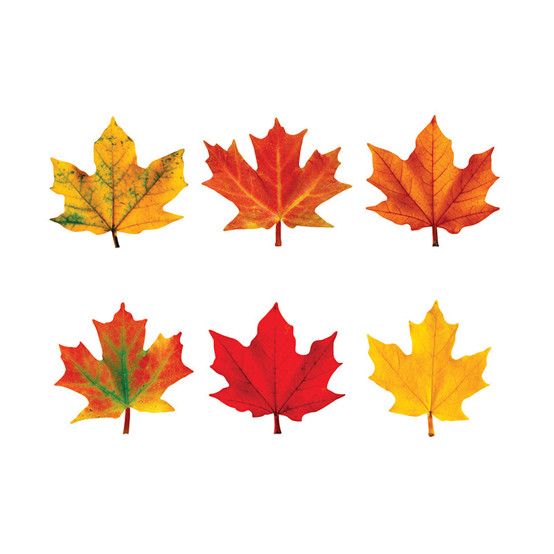 #33128 CLASSIC ACCENTS MAPLE LEAVES MINI VARIETY PK-DISCOVERY
