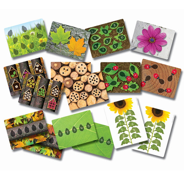 #41241 LADYBUGS EARLY NUMBER CARDS